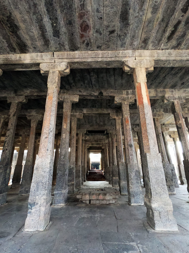  Venkatramana Temple pillars