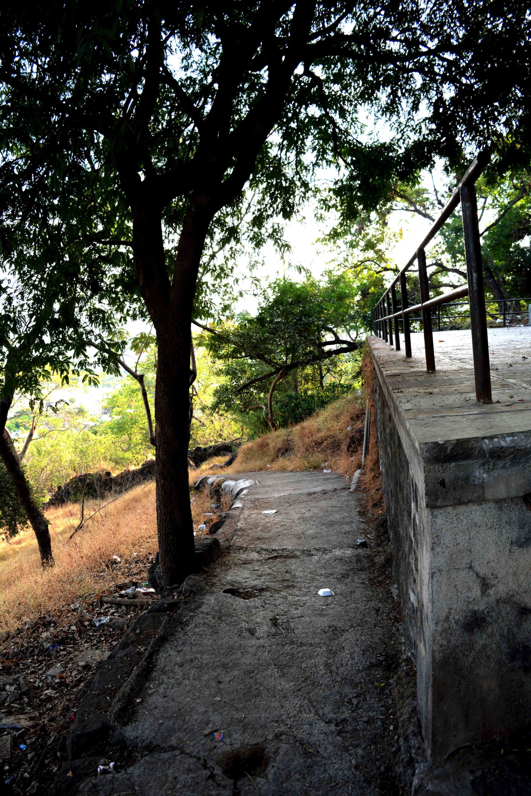 Parvati Hill, Pune Drifter Adwait