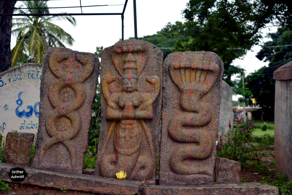 Naga, Bhoga Nandishwar Temple, Bengaluru
