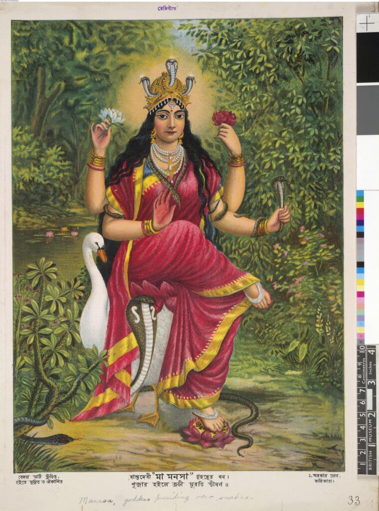 Manasa Devi, Bengal 1895, Printed