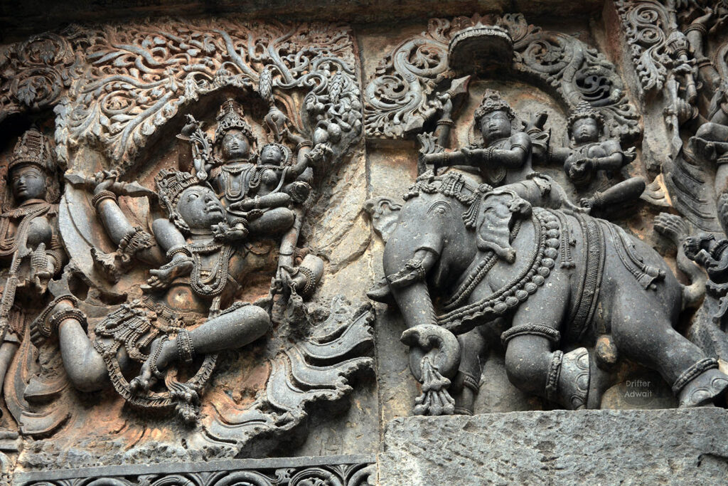 Krishna Indra Parijat War, Halebidu