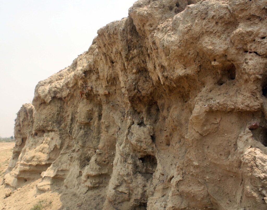 Close-up view of the wall of the mound at Katingara. Photograph by Research paper author Laxshmi Greaves.