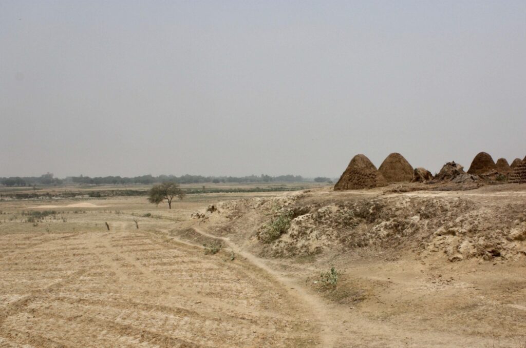 Temple mound at Katingara. Photograph by Laxshmi Greaves