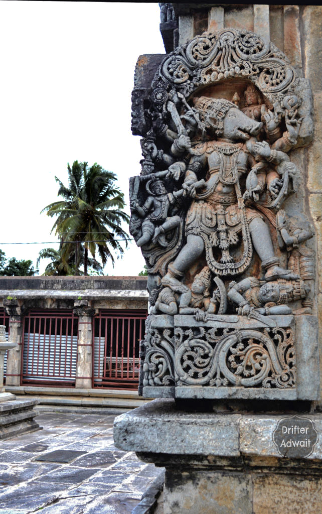 Varaha on Ranganayaki Temple