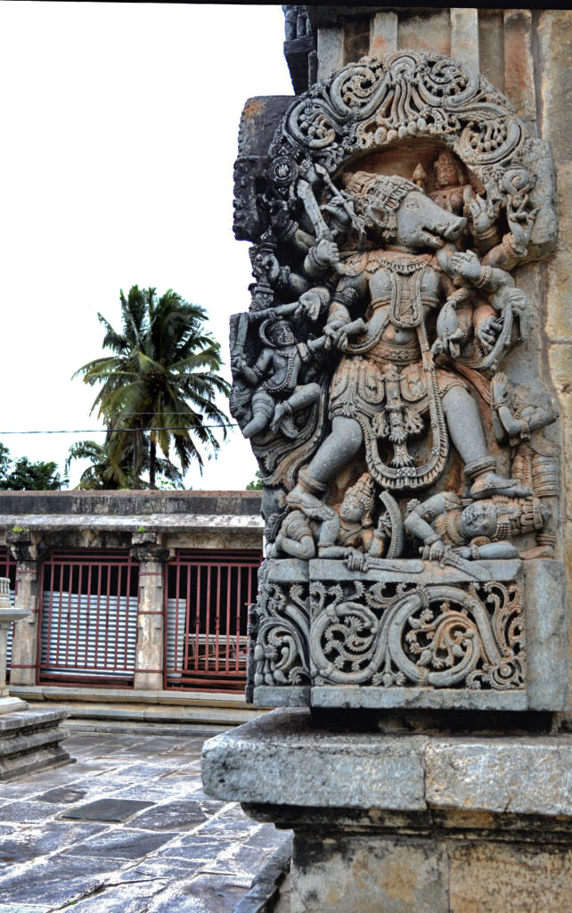 Varaha on Ranganayaki temple, Chennakeshava temple, Belur.